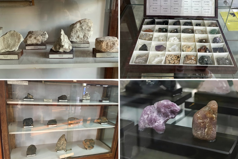 A variety of different fossils are displayed at the museum